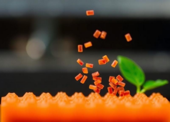 Nanomaterial Sensors Catch Toxic Food Adulterants at Ultra-Trace Levels