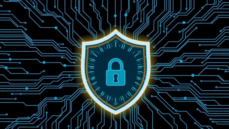 Quantum Shield for the Cloud: Hybrid Cryptography Takes Aim at DDoS Attacks