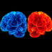 AI Reveals Two Distinct Brain Subtypes Behind Suicide Risk in Bipolar Depression
