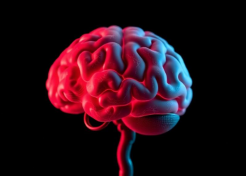 Gut Bacterial Metabolite Shapes Brain Damage After Stroke, Study Finds