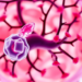 New Wave of Targeted and Immune Therapies Reshapes Marginal Zone Lymphoma Care