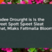 Moderate Drought Is the Sweet Spot That Makes Bougainvillea Bloom, Study Finds