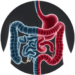 Two Gut Microbe Types Split IBD Patients Into Very Different Diseases