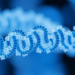 Ribosomal RNA Passes Its Test as a Steady Reference in High-Throughput Plasma qPCR