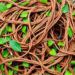 AI Turns Tangled Sustainability Studies Into Searchable Knowledge Graphs