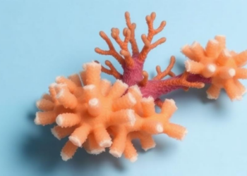 Sponge-Dwelling Archaea Turn Out to Be Dietary Flexitarians, Not Ammonia Specialists