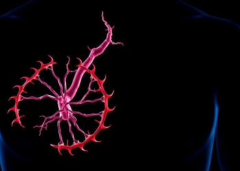 Mitochondrial Assembly Factor NDUFAF2 Emerges as Driver of Deadly Aortic Aneurysms