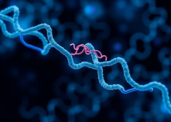 Lightweight AI Model Reads Protein Networks Without Costly External Data