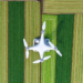 AI Turns Cheap RGB Drone Photos Into Multispectral Crop Scans