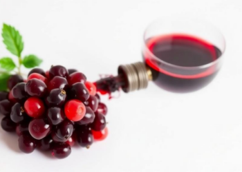 Red Wine Compound Resveratrol Emerges as a Potential Booster of Brain Plasticity