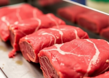 High-Pressure Processing Tames Dangerous Bacteria in Raw Beef Pet Food