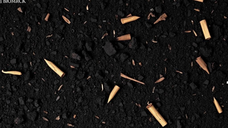Biochar May Turn Fleeting Root Carbon into a Lasting Soil Sink, Review Finds