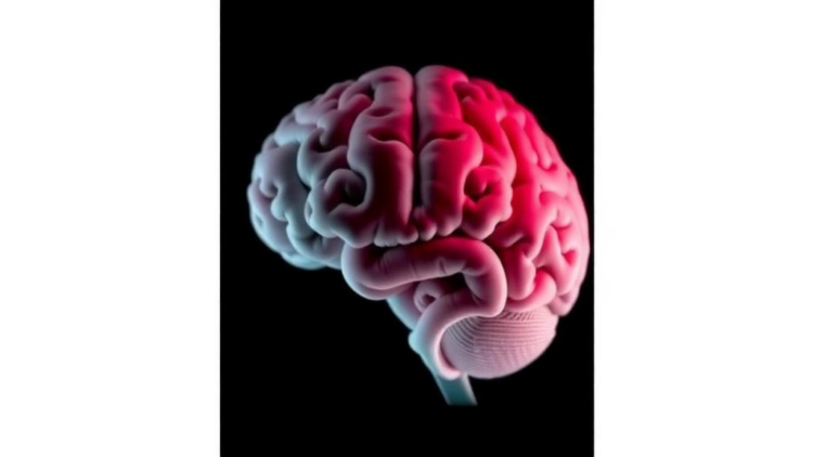 Rare Brain Tumor That Vanishes on Its Own Seen Before Birth in Striking Case Report