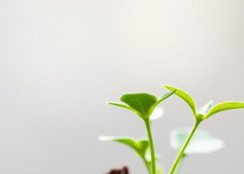 Epigenetic Switch Revealed: How DNA Methylation Shapes a Seedling’s Response to Light