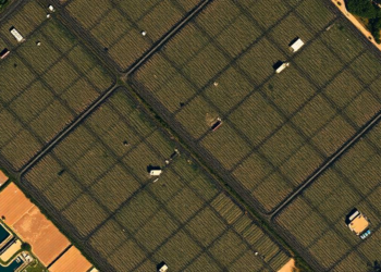 Wavelets Meet Attention: New AI Spots Tiny Changes in Satellite Images With Unusual Precision
