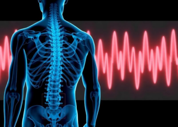 Physics-Meets-AI Model Reads Muscle Fatigue Signals for Back Pain Rehab