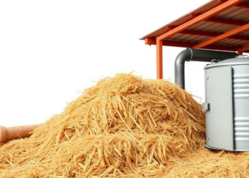 Storage Time Quietly Erodes the Climate Case for Bagasse Biogas