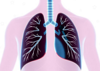 Ventilatory Efficiency Emerges as a Missing Piece in the Tidal Volume Versus Respiratory Rate Debate