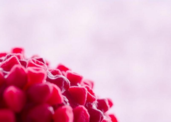 Chemical Tags on Blood Proteins Reveal a New Window Into Alzheimer’s Disease