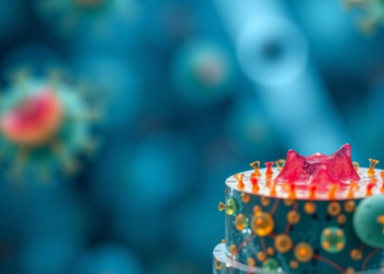 Stem Cell Feeder Platforms Boost Natural Killer Cells for Cancer Immunotherapy