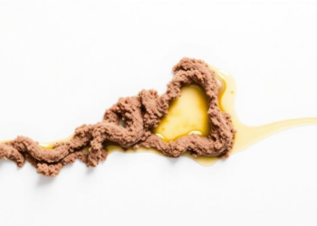Nanoclay-Boosted Polymer Additive Slashes Waxy Crude Oil Pour Points by 30 Degrees