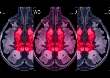 New AI Architecture Sharpens Breast Tumor Detection Across Four Imaging Modalities