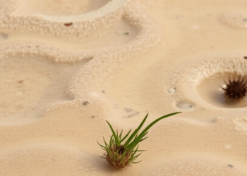 Salt, Water and the City: What Keeps Algerian Wetland Plants Alive