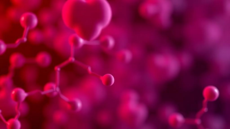 Fifteen-Year Study Reveals How Lipoprotein(a) Levels Shift Over a Lifetime