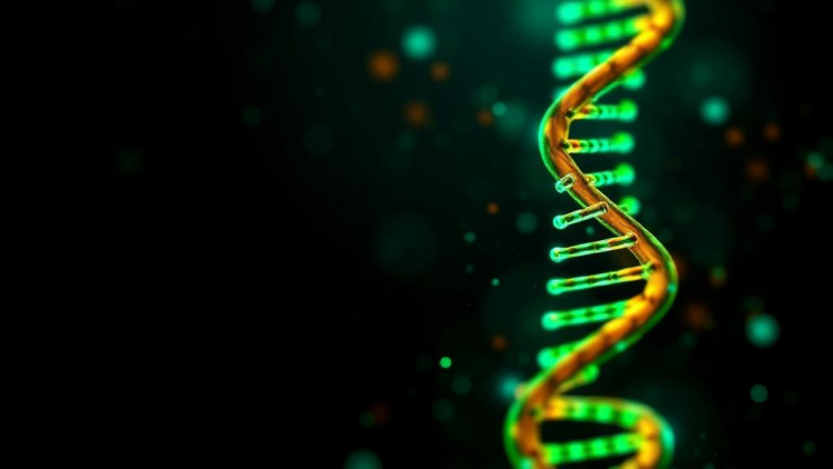 Chaos Meets DNA: New Image Encryption Scheme Pushes Brute-Force Attacks Beyond Reach