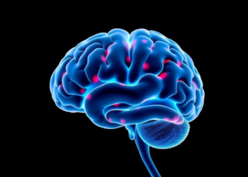 Lactate’s Hidden Switch: How a Once-Dismissed Metabolite Shapes Brain Repair and Degeneration