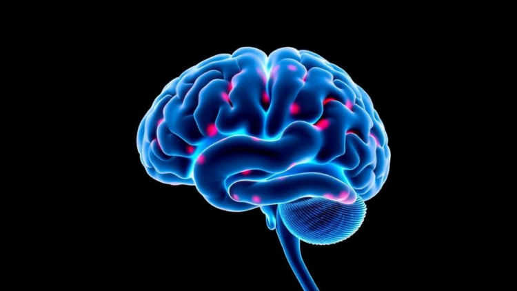 Lactate’s Hidden Switch: How a Once-Dismissed Metabolite Shapes Brain Repair and Degeneration