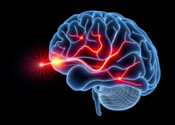 Zapping the Ear’s Vagus Nerve Rewires a Sleep Hub in the Brain, Trial Finds
