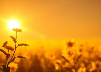Four-in-One Nanocomposite Turns Sunlight and Air into a Greener Route to Benzaldehyde