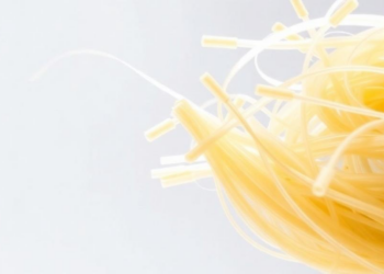 Sugarcane Waste Gets a Second Life: Silane-Treated Fibers Supercharge Tough Polymer Networks