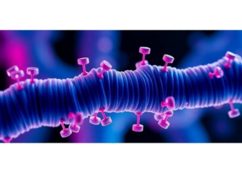 Lactate Tag on Histones Fuels Drug Resistance in Head and Neck Cancer