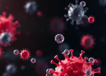 Large Extracellular Vesicles Step Out of the Shadow of Exosomes in Landmark Review