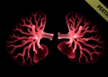 Low-Field MRI Captures Preterm Infant Lungs in Sharp Detail Without Radiation