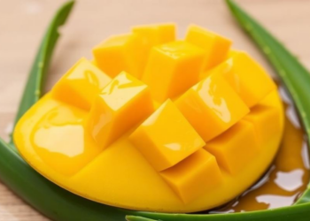 Aloe Vera Beats Honey in Edible Coatings That Keep Fresh-Cut Mango Fresh for 20 Days