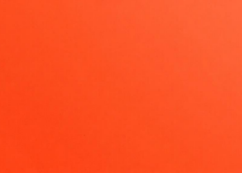 Linseed Oil and Cardanol Yield Isocyanate-Free Polyurethane Coatings