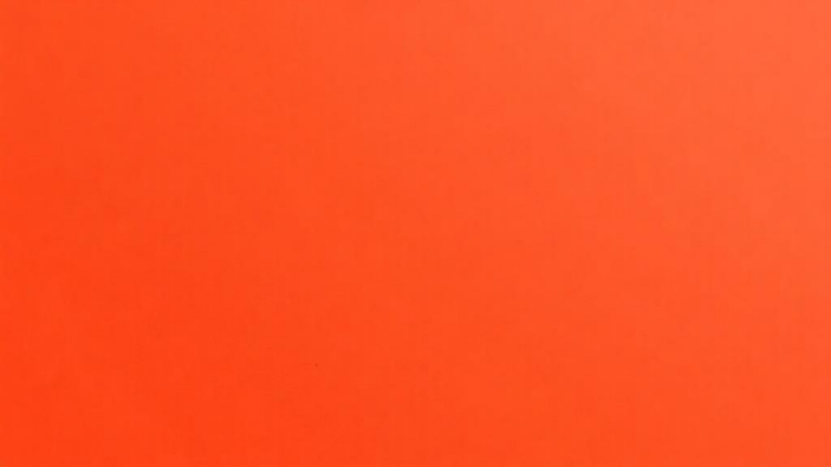Linseed Oil and Cardanol Yield Isocyanate-Free Polyurethane Coatings