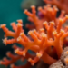 Cheap Gel Test Reveals Hidden Coral Species Without Sequencing