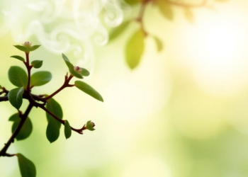 Smoke Tree Flavonoids Rewrite Gene Activity in Leukemia Cells, Study Finds