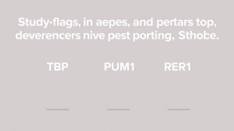 Study Flags TBP, PUM1 and RER1 as Top Reference Genes for Breast Tissue qPCR
