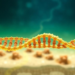 Ancient Lake DNA Reveals Microbes Evolving Faster Than Their Functions Under Climate Change