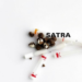 How Nicotine Wrecks Sperm: Antioxidants May Quiet a Cellular Stress Switch in the Testis