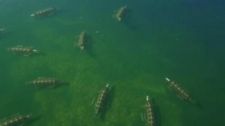 Scientists Launch $2.3 Million Push to Build First Global Lake Metabolism Database