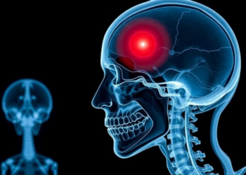 AI Learns to Prove Itself: Verified Deep Learning for Injury Detection