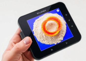 Handheld NIR Scanner and Bilinear Surface Model Crack Rapid Gluten Quality Testing in Whole Wheat Flour