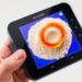 Handheld NIR Scanner and Bilinear Surface Model Crack Rapid Gluten Quality Testing in Whole Wheat Flour