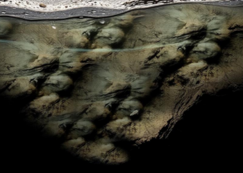 Industrial India’s Hidden Water Fingerprint: Rock, Rain and Fertilizer Shape a Stressed Aquifer